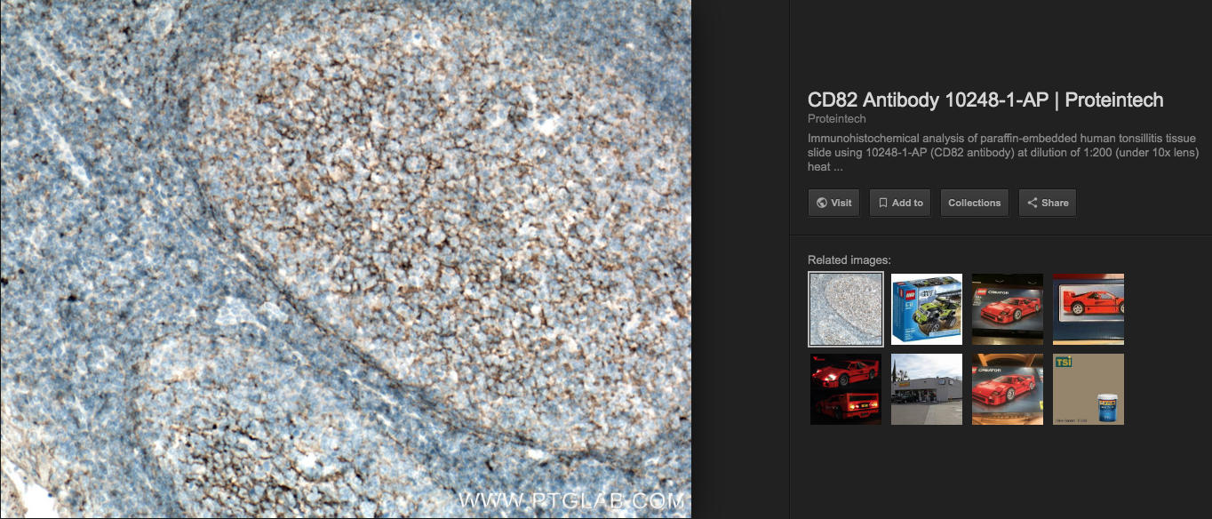 1131147798_ScreenShot2019-06-16at4_52_09PM.png.6f1adbc757e54e31eae52fe86c70e4dc.png