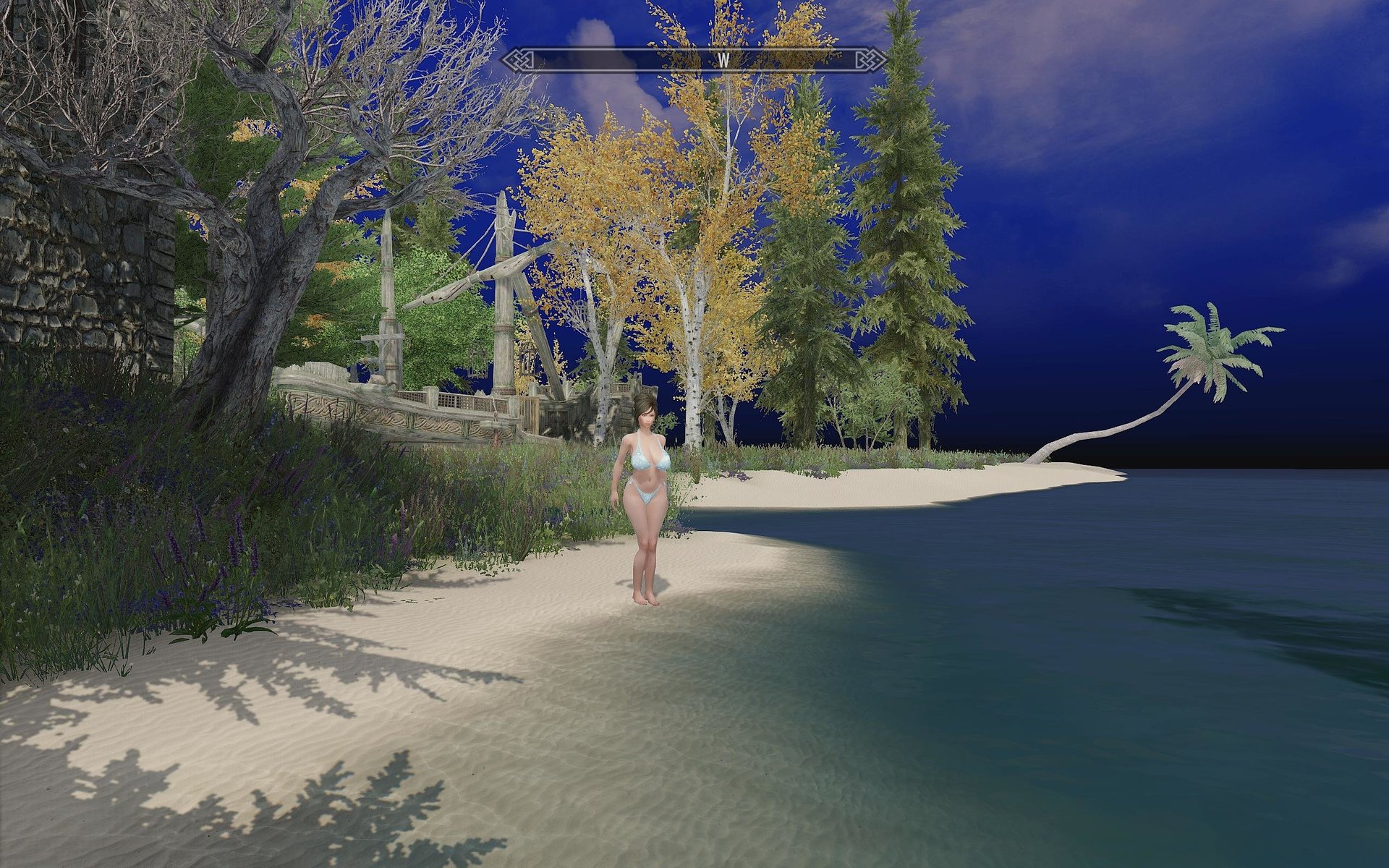 TESV 2019-06-24 13-49-41-03.jpg
