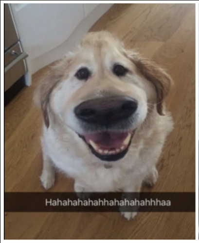 1761640903_ScreenShot2019-06-28at2_38_03PM.png.e4f7ea026aab72e1ff5f7e9f4e312eb0.png