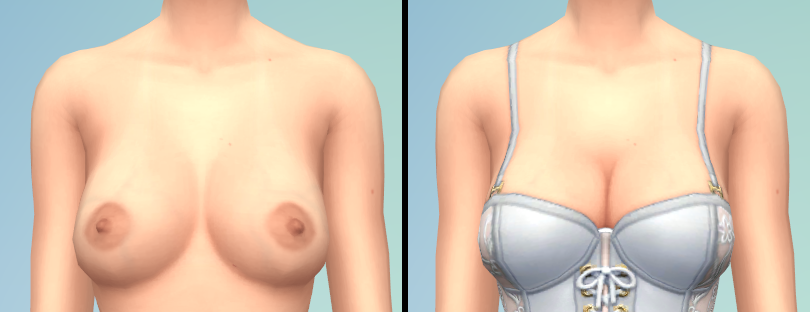 221673886_erplederpBreastDetail.png.8ed6188b809d795393b6870d39d11cda.png