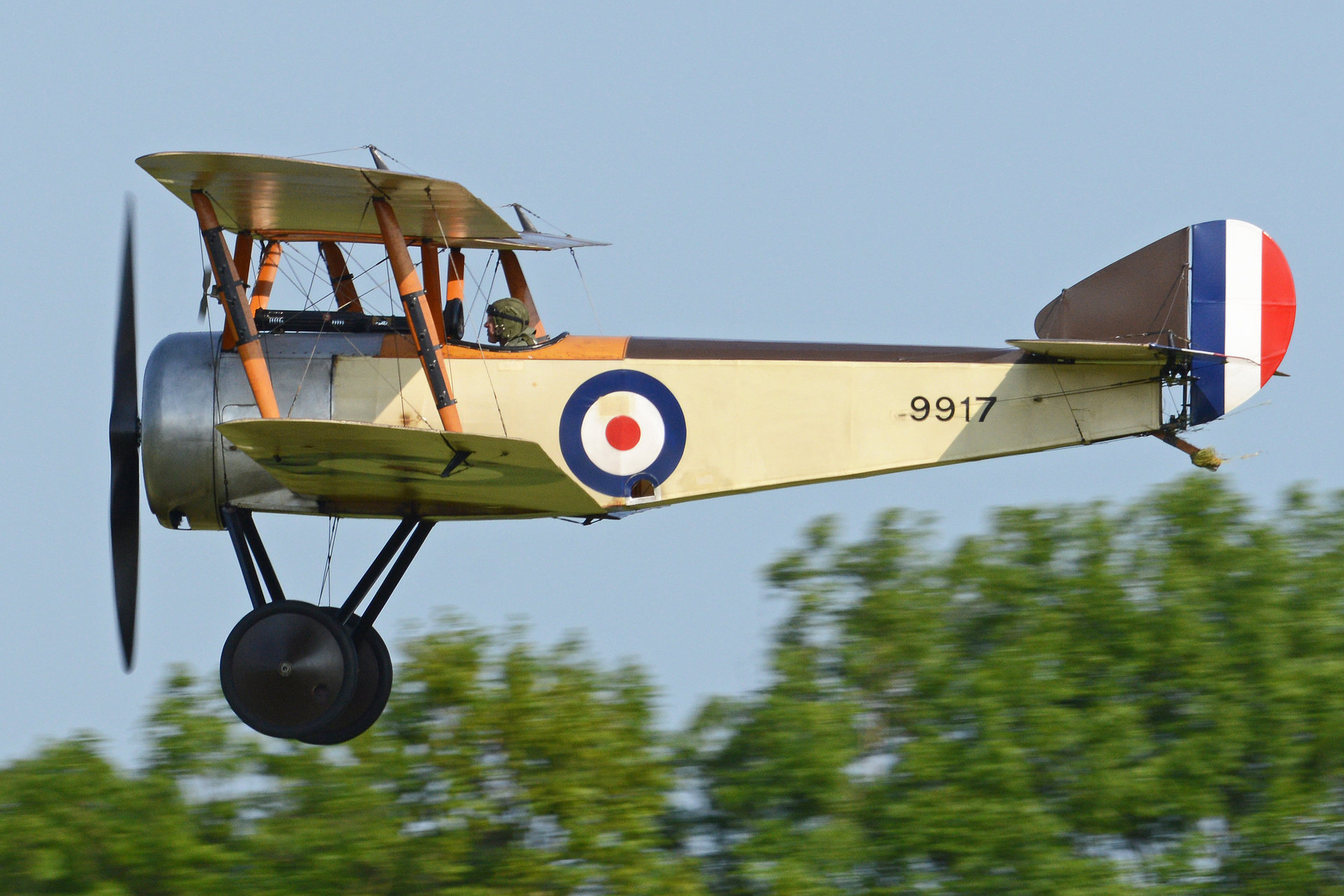 2465042_Sopwith_Pup_9917_(G-EBKY)_(27919225352).thumb.jpg.d7c32494a6b5834b6566c95975544a0c.jpg