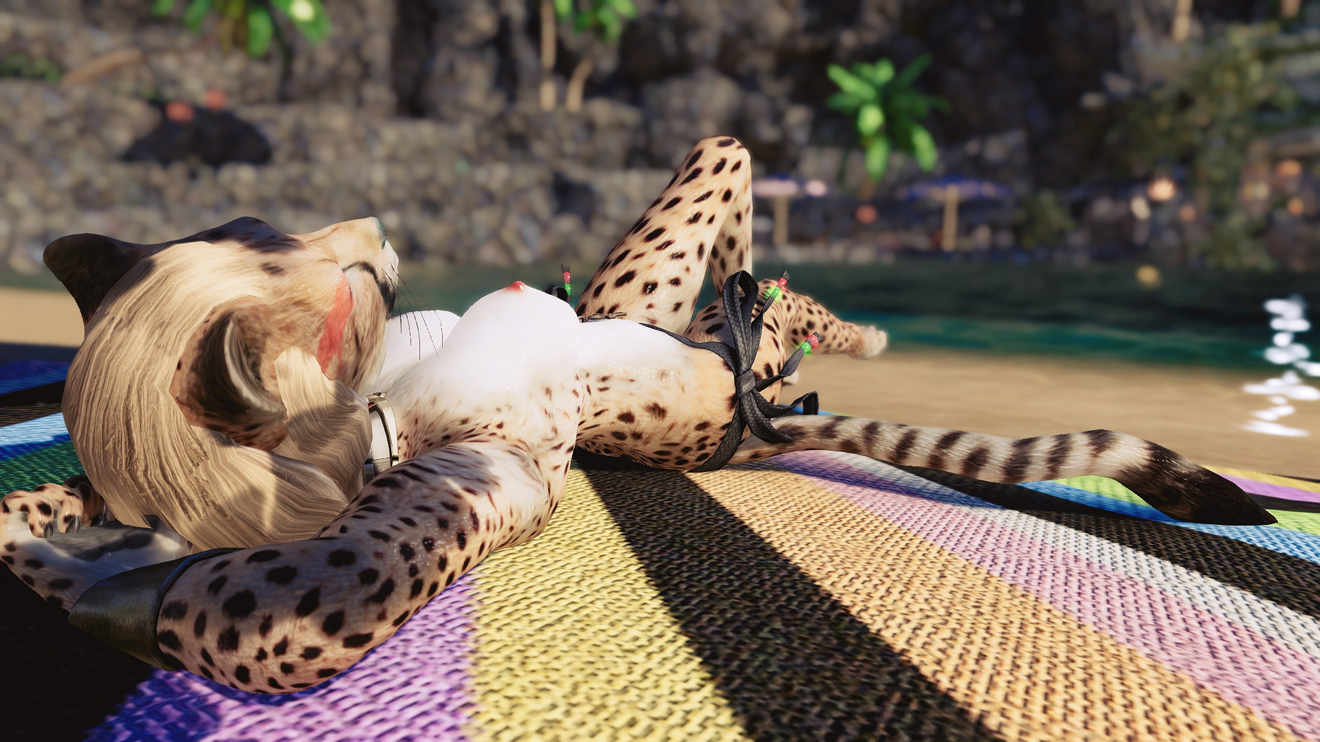 3chee4.jpg.9024ad5277324ffa21027c50430678ff.jpg
