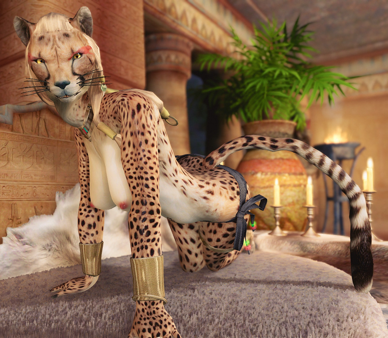 3chee6.jpg.964cb34712e95c522871440b797ada14.jpg