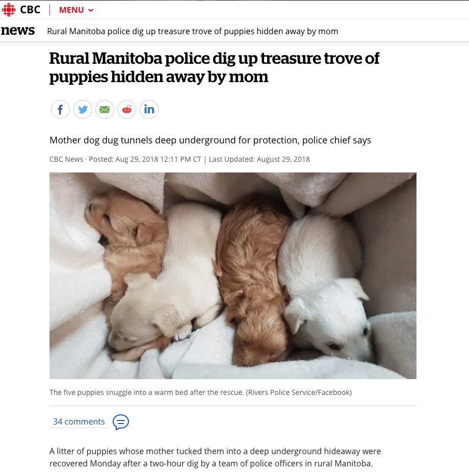 403135144_ScreenShot2019-06-28at2_42_01PM.png.60d20ad7a9c883f5d88a041132ecf0f2.png