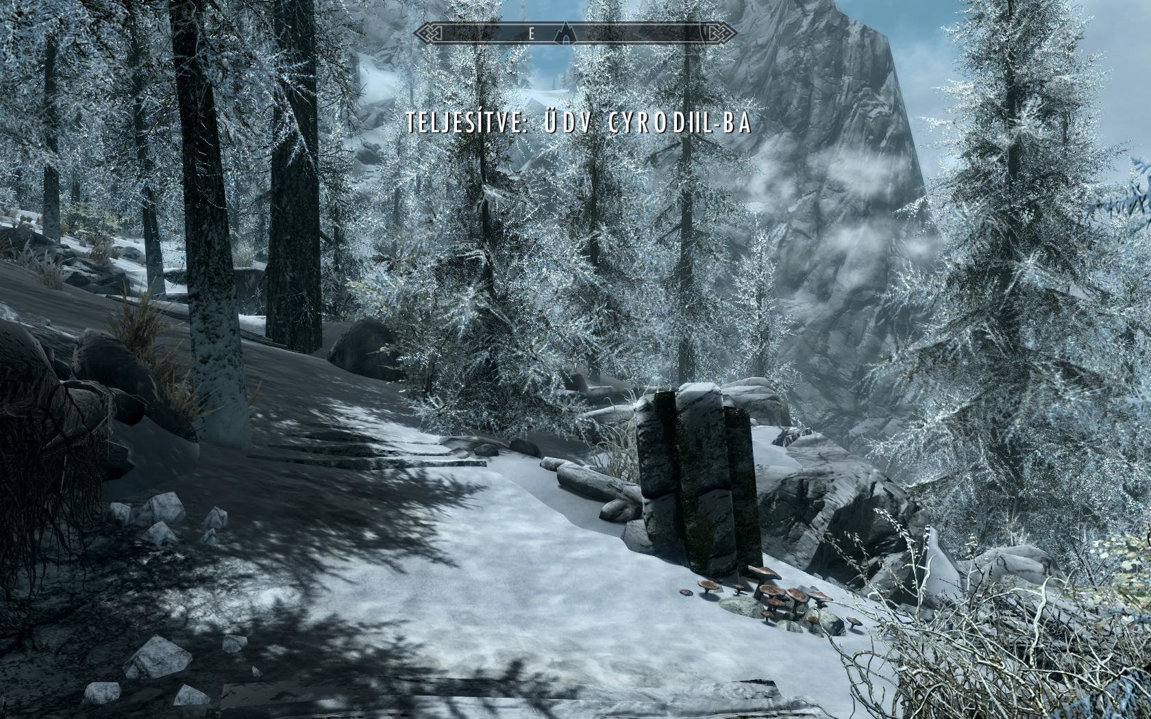 665663297_SkyrimSE2019-06-2613-18-36-82.jpg.04ccfaeca89b802594a7204ba61b3477.jpg