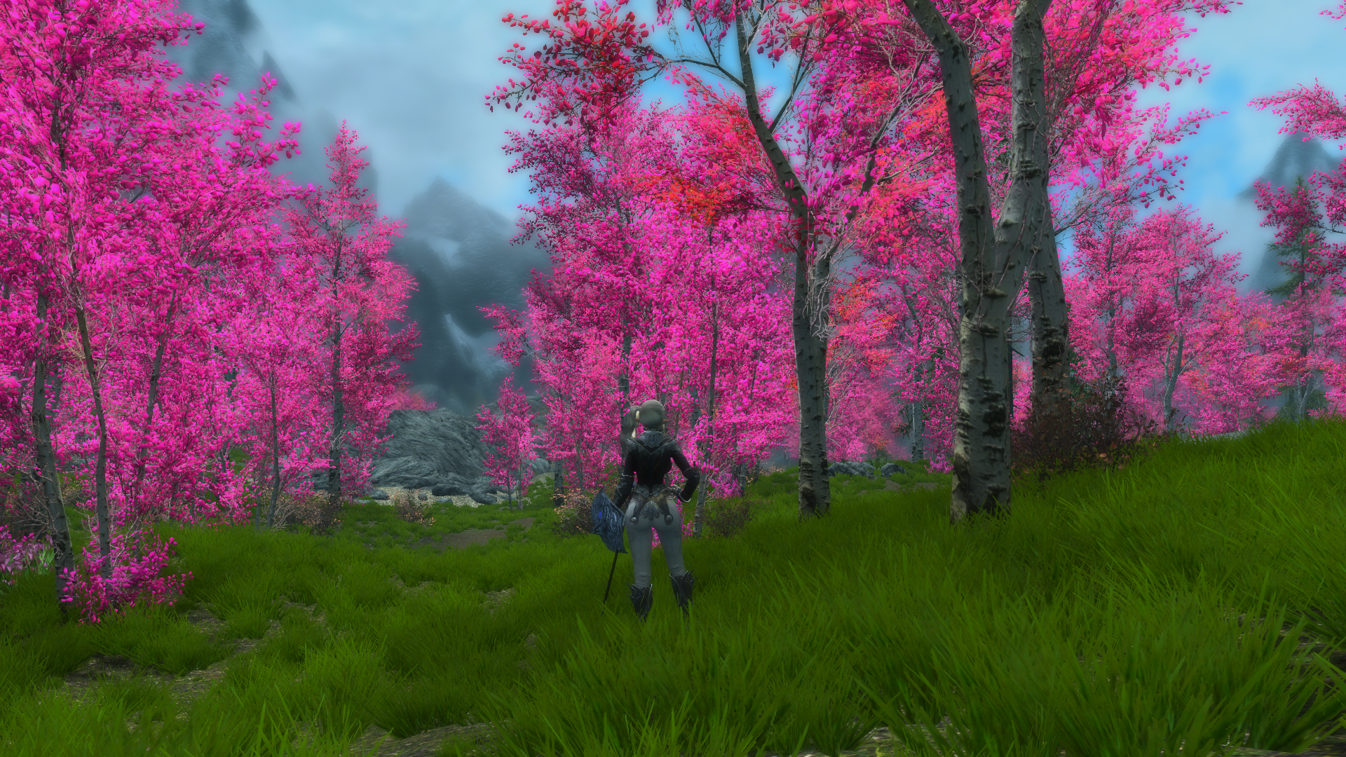957622468_enb2019_06_0700_14_10_27.png.8ad243b0e34baf534c26b4db9f1c63a7.png