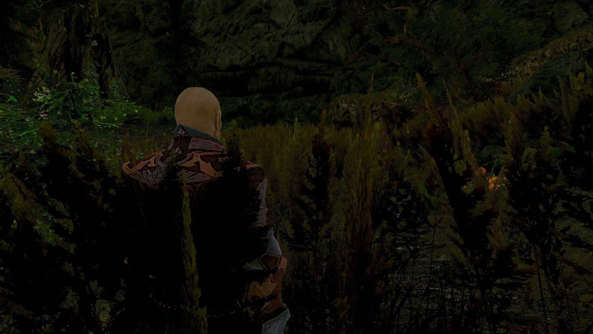 Eldergleam.thumb.jpg.714193bd67c5679fdebb422f07fcea4a.jpg