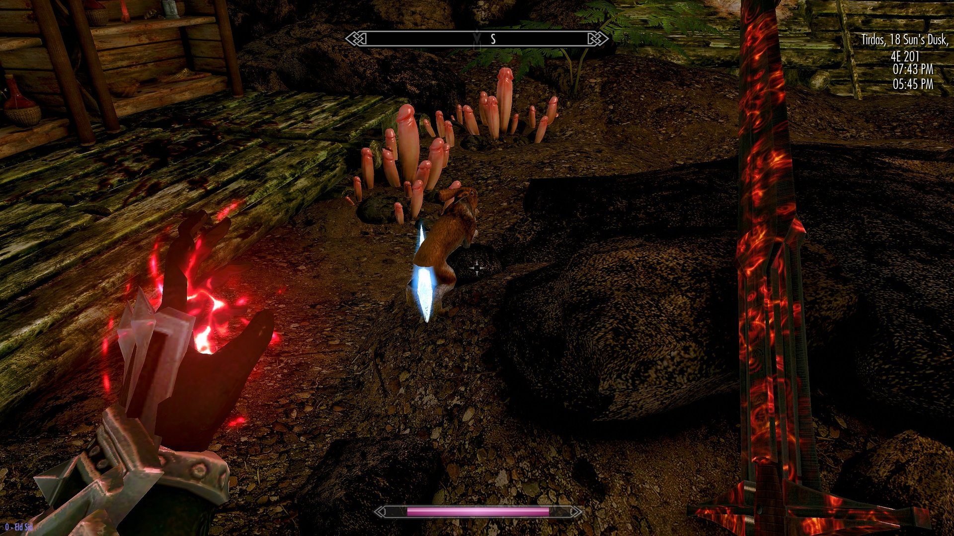 Rabbit.thumb.jpg.aa82adbe9da70d5c42a2a34eec036a7f.jpg