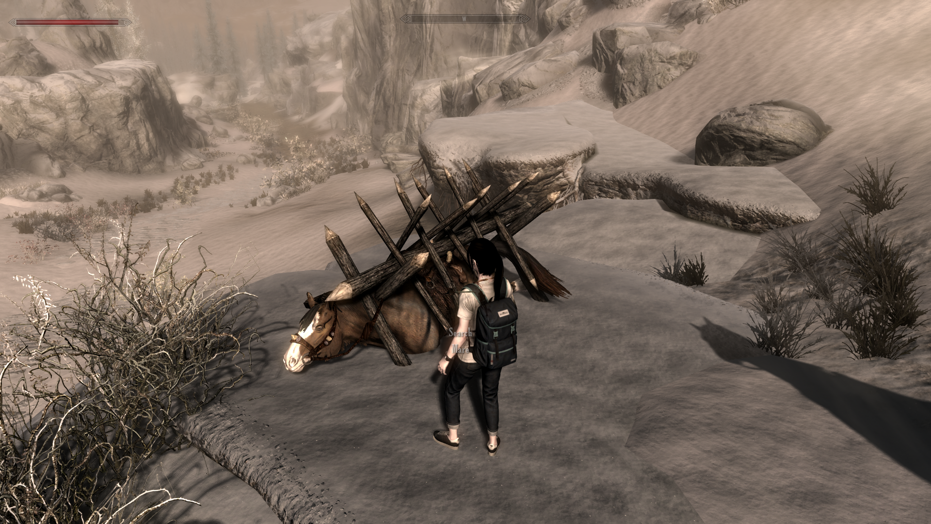 Skyrim570.png.235c5750c9839dbf2c3b5a1fa13b885e.png