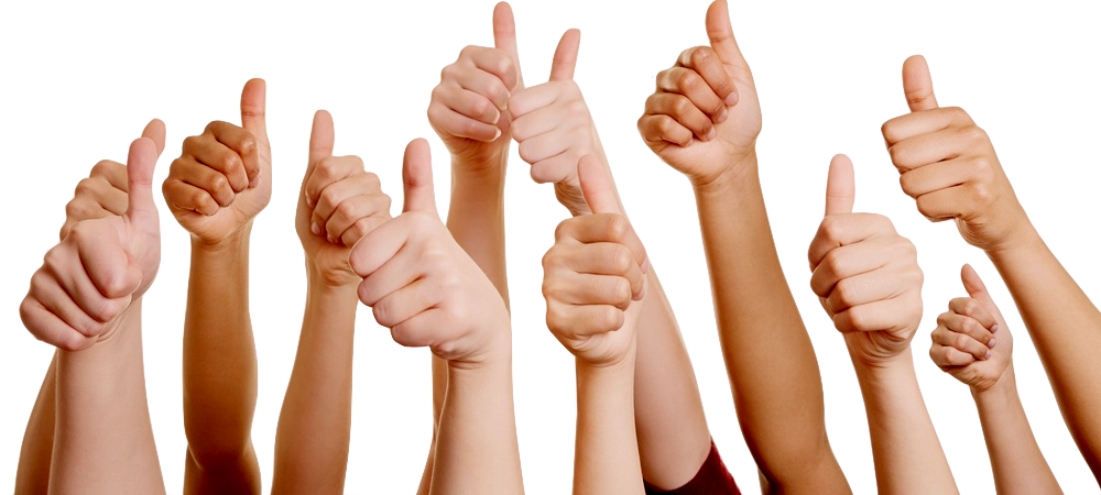 ThumbsUp.png.528800cc229b09e1a80722a68cf33e90.png
