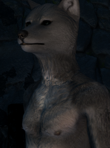 image.png.8ad3c83c6094c54a1df2d847b346f086.png