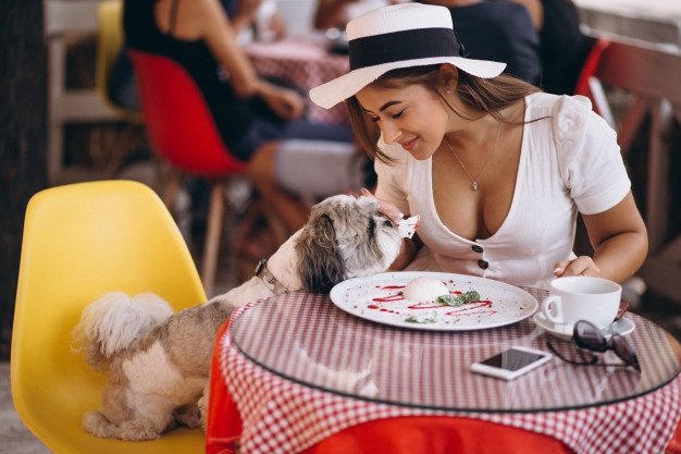 jeune-femme-au-bar-chien-mignon-train-dejeuner_1303-10195.jpg.06593b8ae97481e28679b1c86cb1e37a.jpg