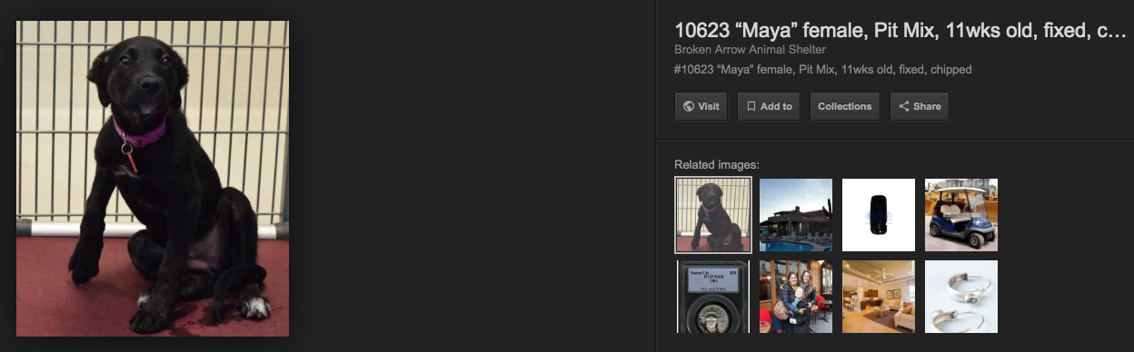 1287624339_ScreenShot2019-07-16at6_54_42AM.png.97d51e574fbb0fccb12232d437de9849.png