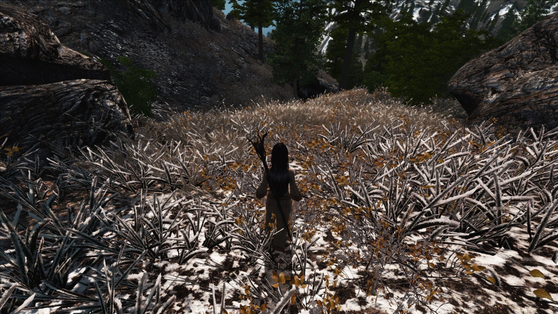 Oblivion20190715 10.10.28.jpg