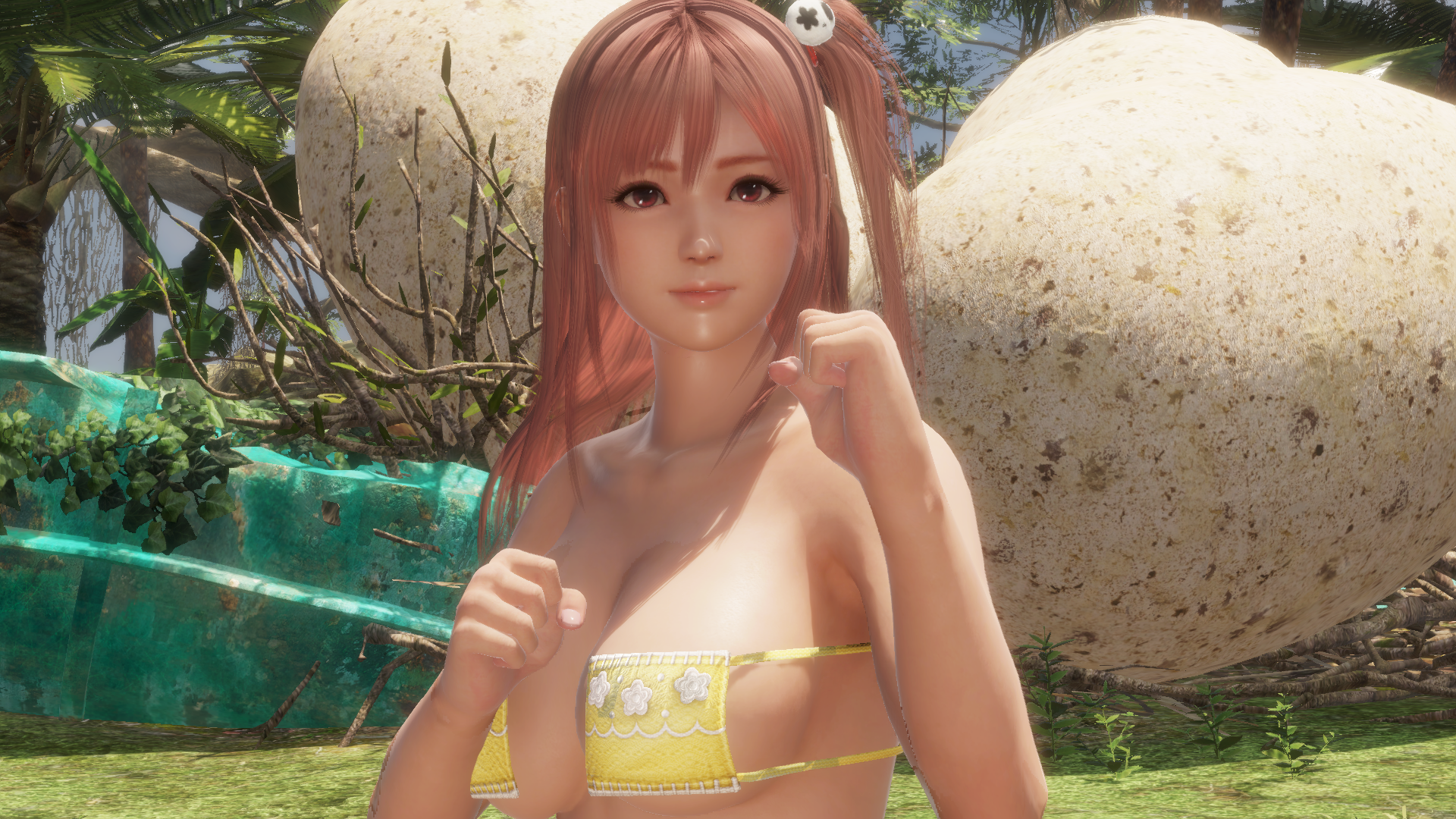 1815161491_DeadOrAlive6Screenshot2019_07.03-20_37_00_22.png.b4c07fb3d56650069c55abcf43fc754d.png