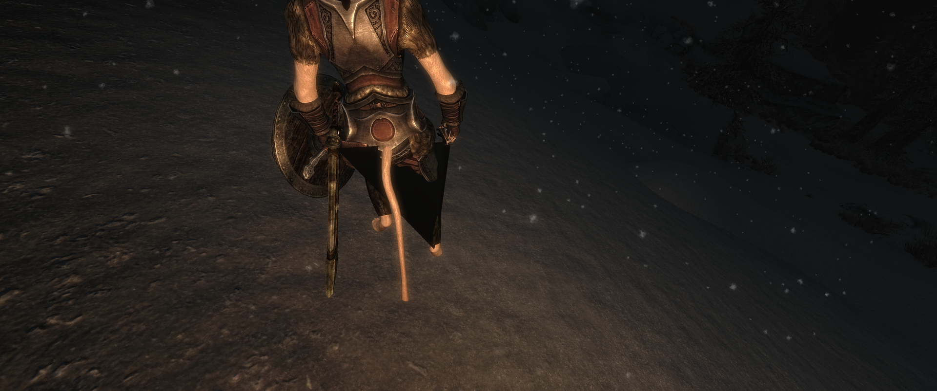 Elder Scrolls V  Skyrim Screenshot 2019.07.08 - 06.47.17.51.png