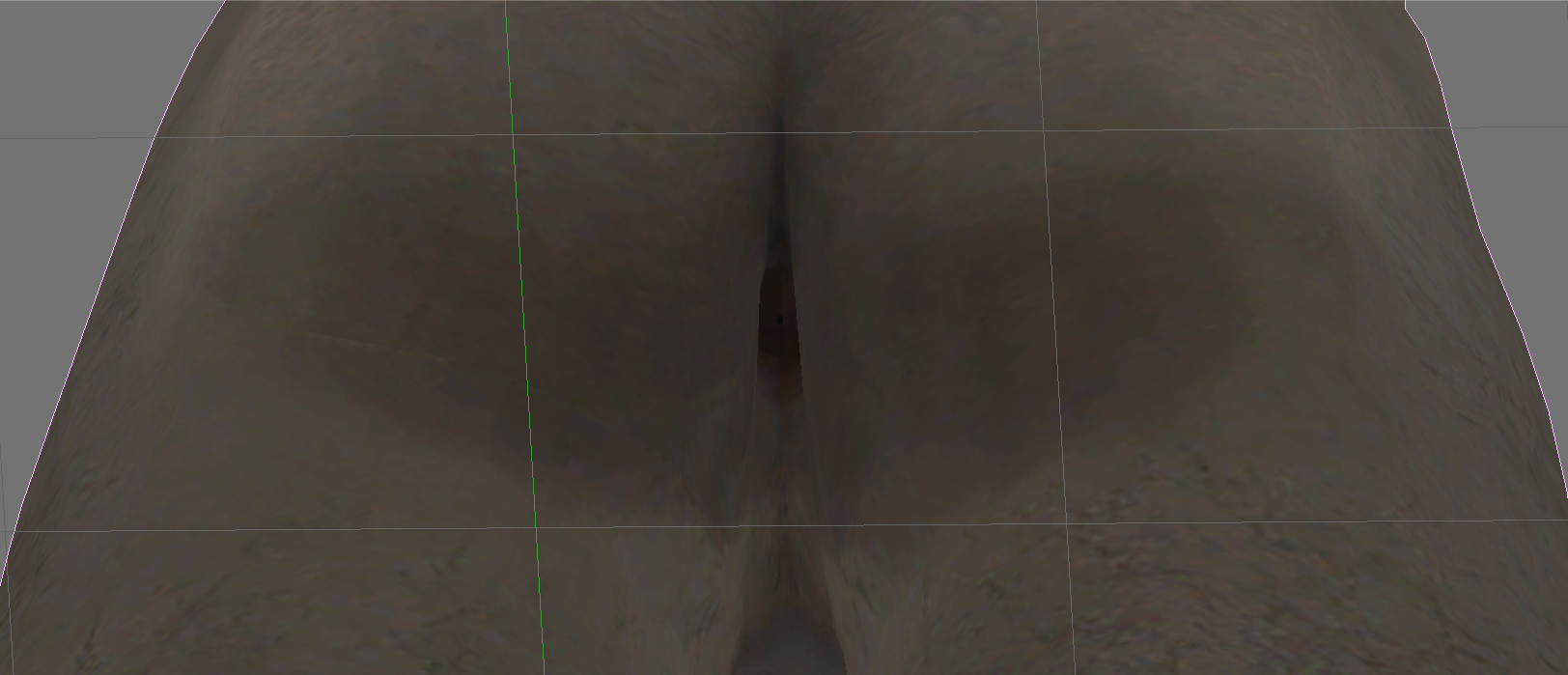 Anus3.png
