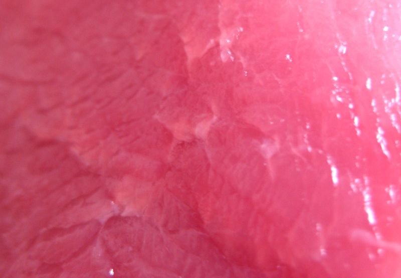 Flesh-texture834-resize.jpg