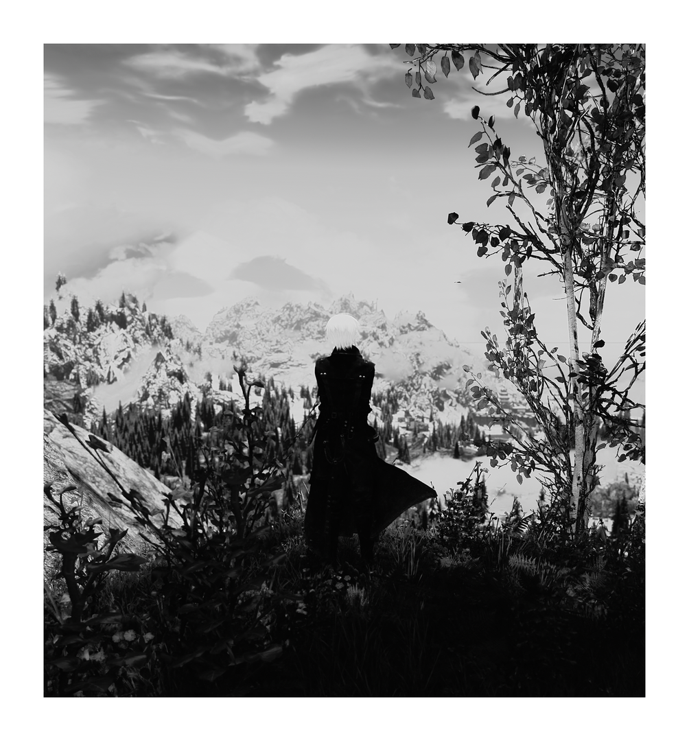 Overlook.thumb.png.56072aed4481d5fab3d83c8099ff3447.png