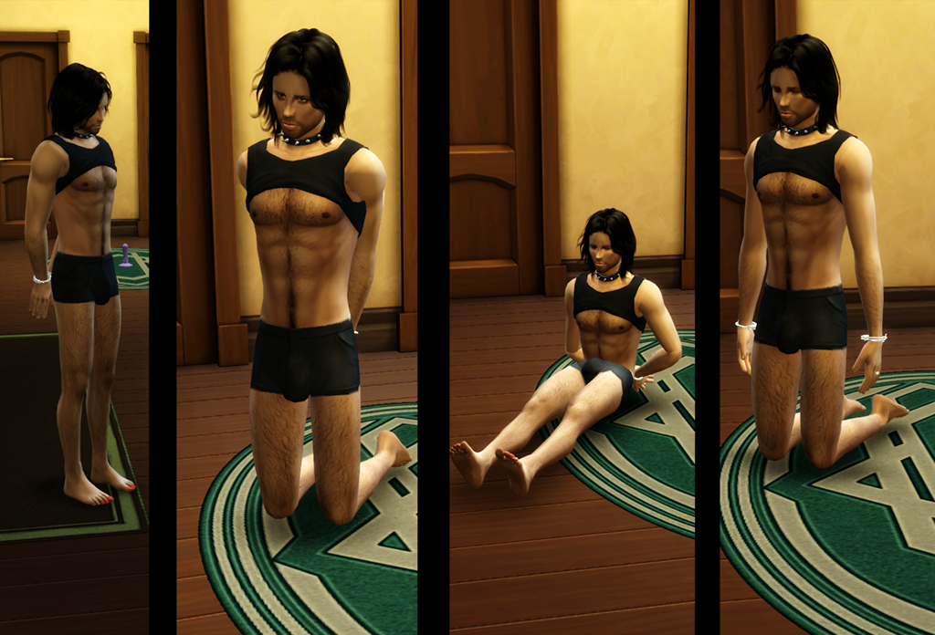 Poses1.png.3118c2a00258a664c6f976d1ae94e7f5.png