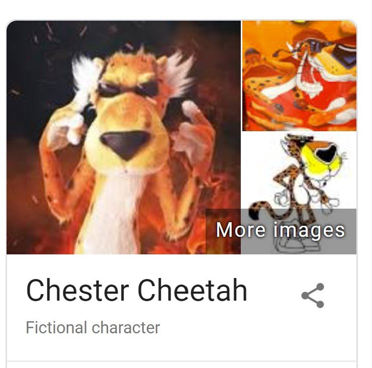 chester.jpg.c510dbf203384cc1f68cad1125dd8e84.jpg