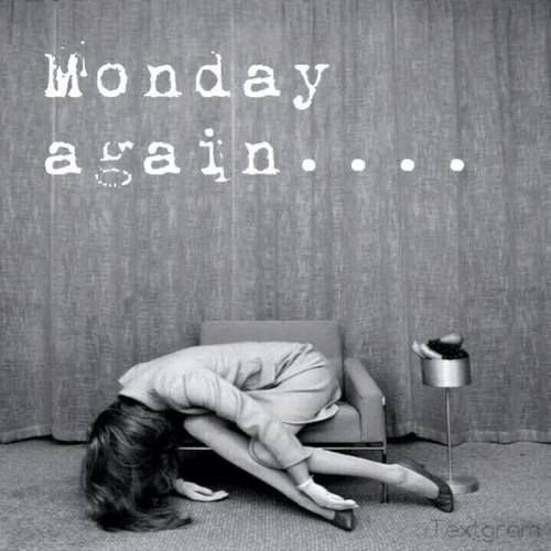 monday.jpg.79d680fab7716f1519c9ec07660443f7.jpg