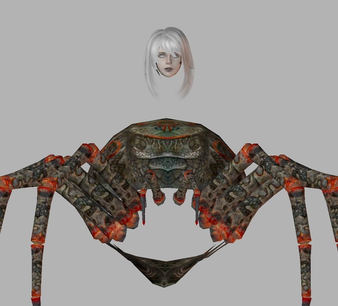 spiderdd-00.jpg