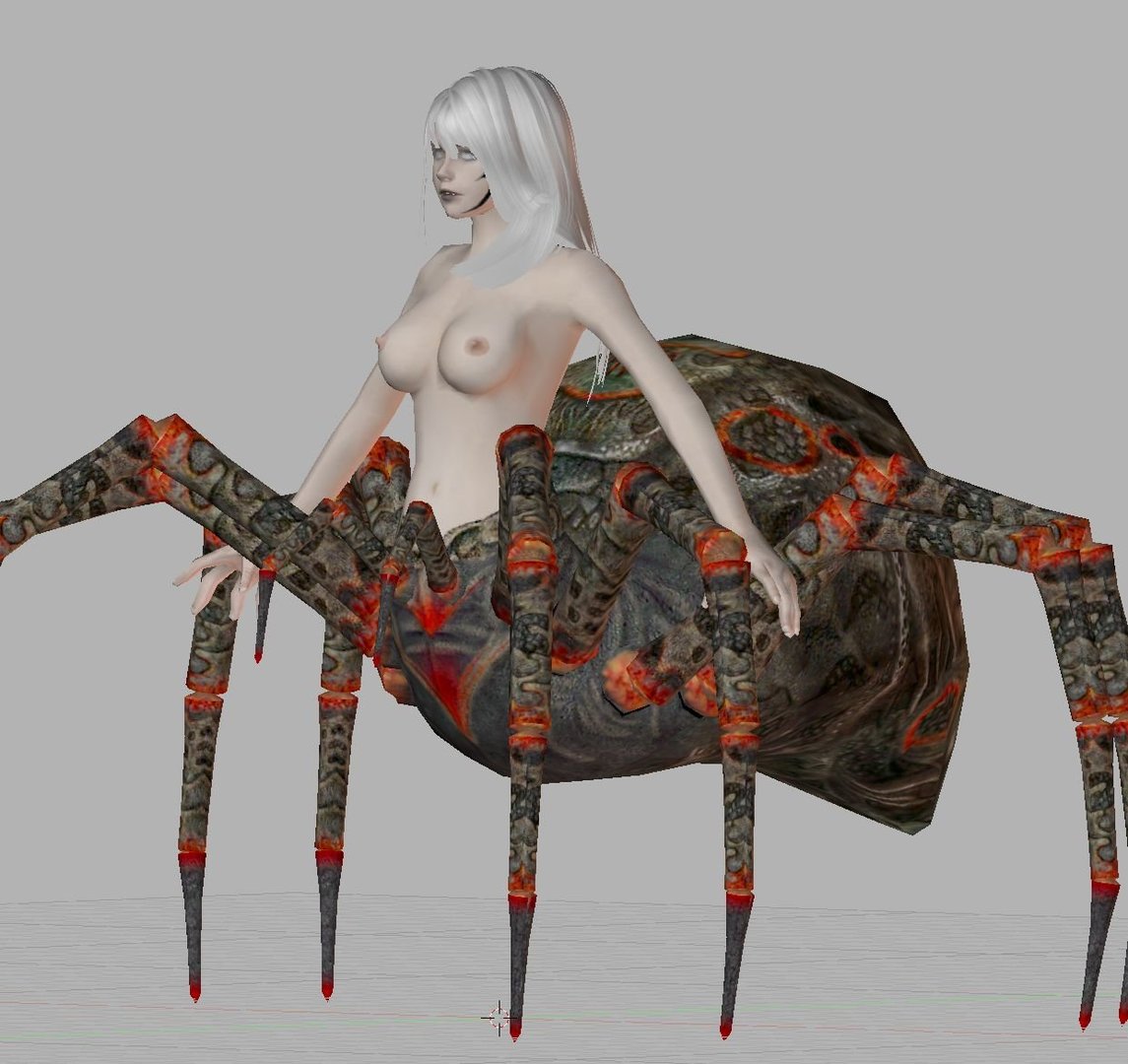 spiderdd-02.jpg