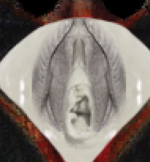 spiderdd-07.jpg