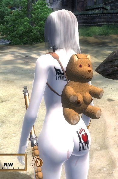 t1.jpg