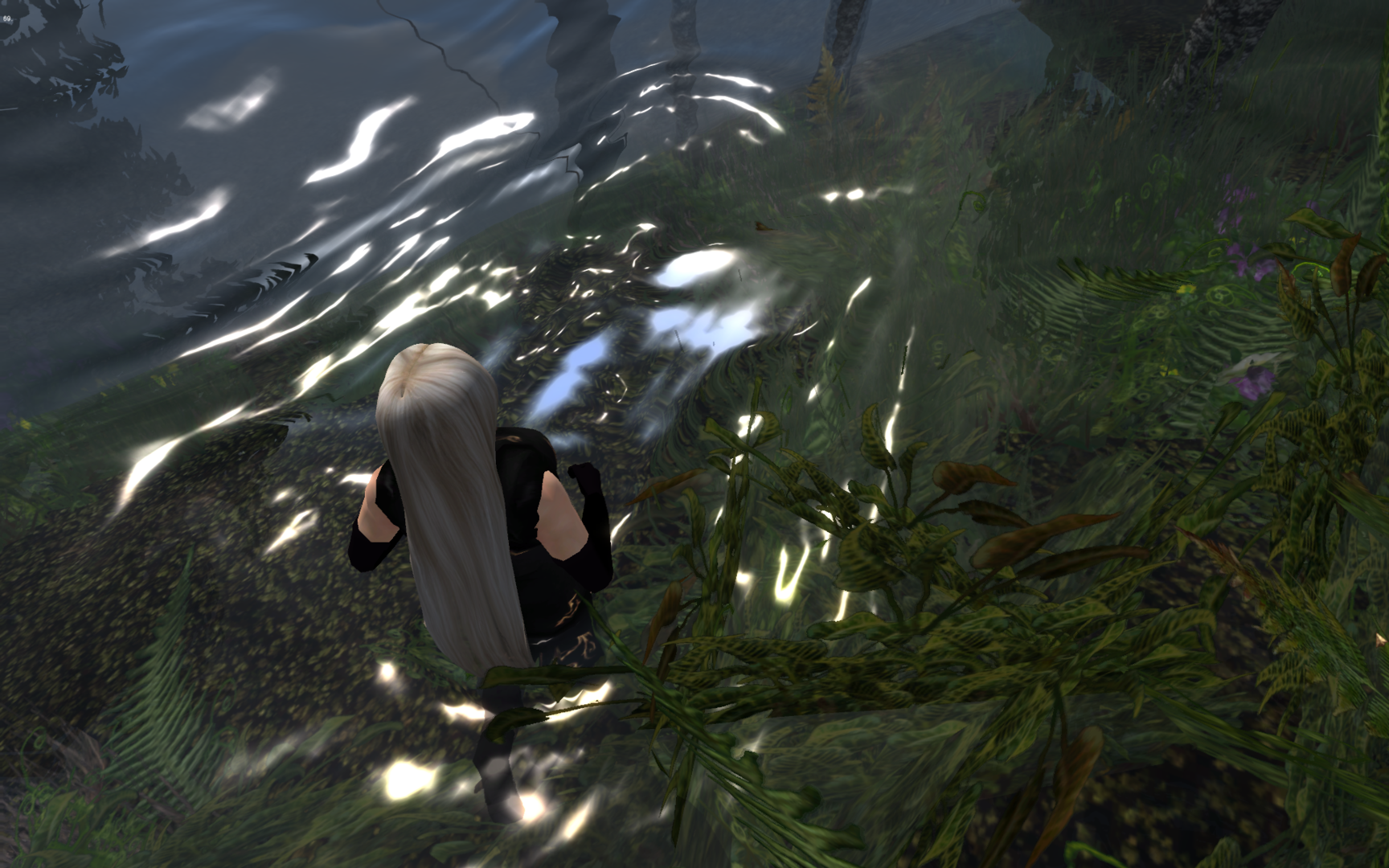 water_reflection_2.png