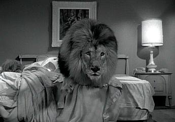 08_jungle.jpg.d2a5e7df1a1c3d59d8652011d3926f1e.jpg
