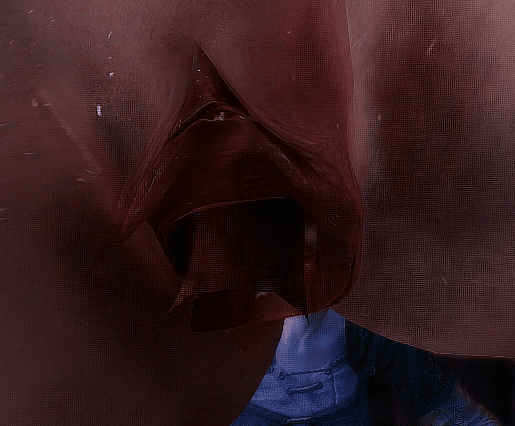 1040749388_Honeycam2019-08-2902-34-22.gif.1ce32aa4d24bed3f745d3b0e753a5e03.gif