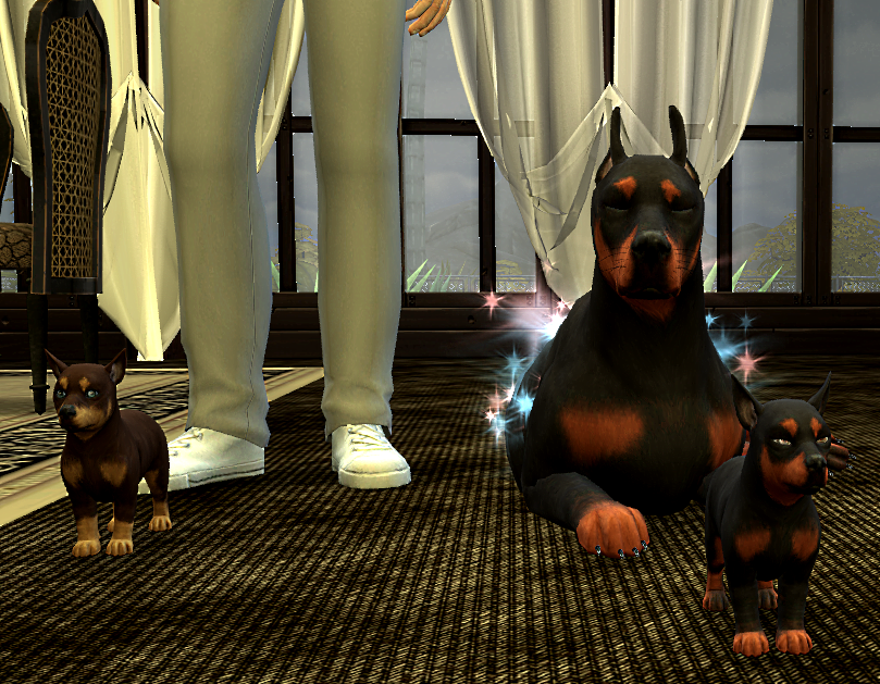 26_06.18_20-47-36DobermannPuppiesPaint.png.366fd409164893dcf9315165b8bb7c40.png