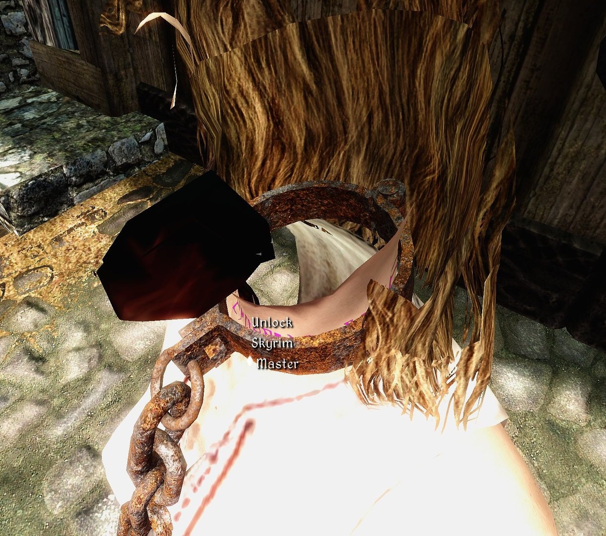 Collar.thumb.jpg.8ef26a23ca5761252493183abce5ad67.jpg