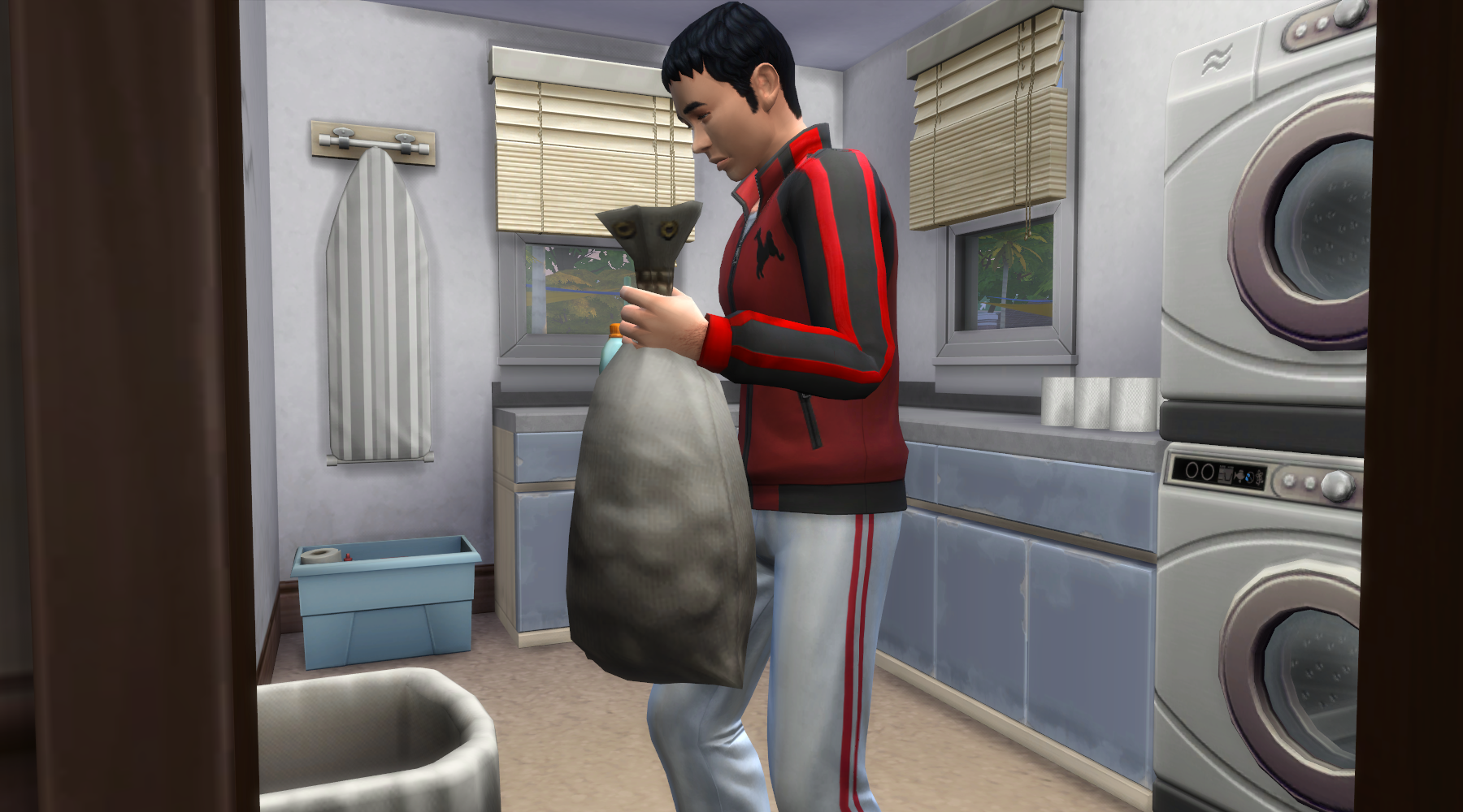 LaundryRoom1.png.e760a991a46936852e59abd104eeace9.png