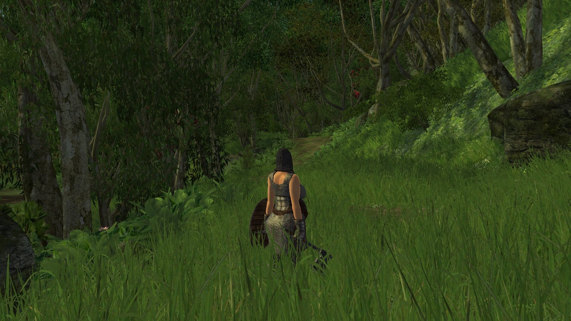 ScreenShot2641.jpg.451a0fa571d1d12907e78341ea7de92c.jpg
