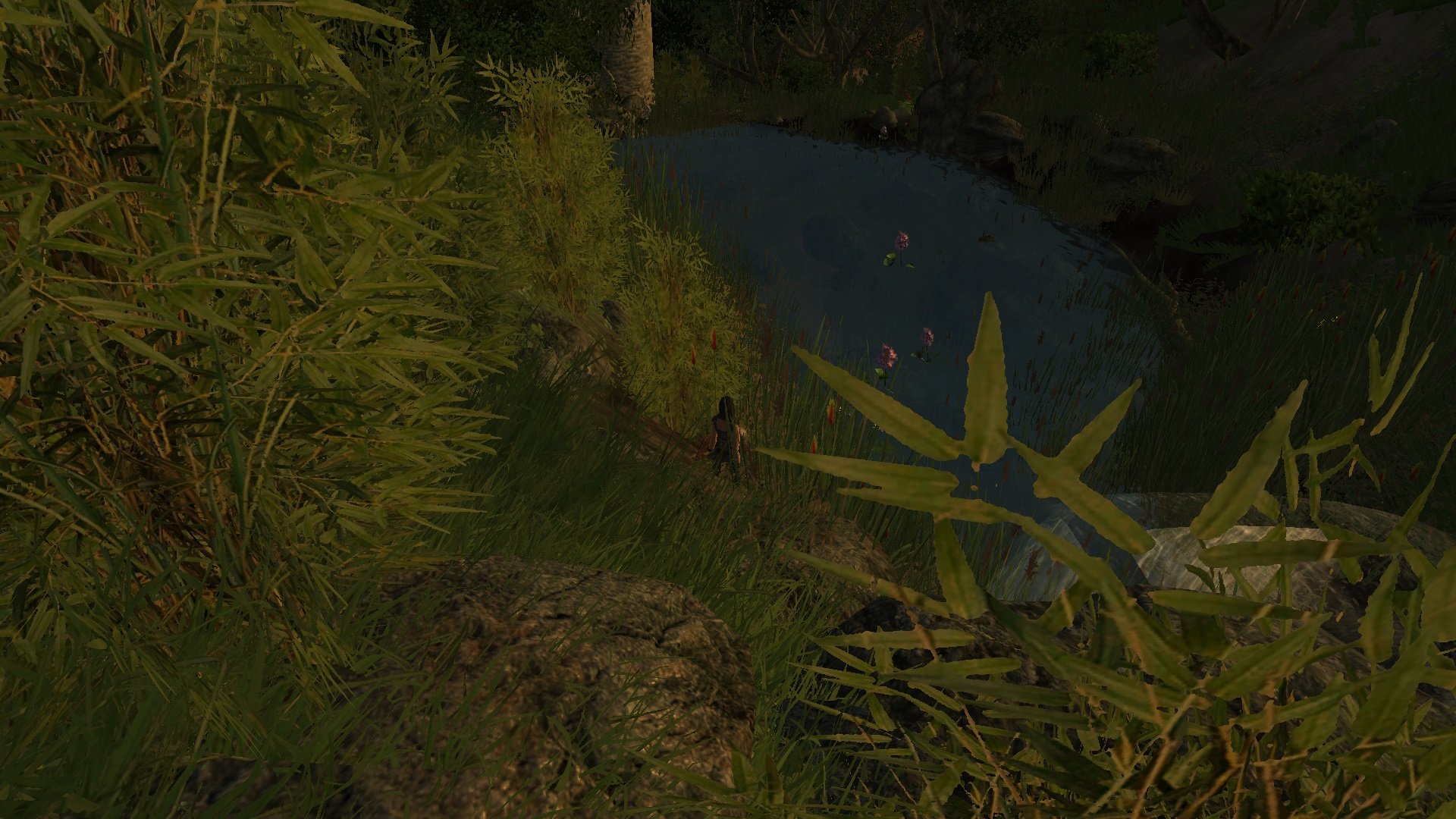 ScreenShot2645.jpg.1c1934119654ae05d9af1c6e6c438a25.jpg