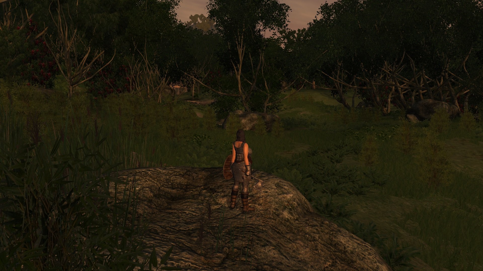 ScreenShot2650.jpg.66538938ee9bd67314bf3406fab1dc45.jpg