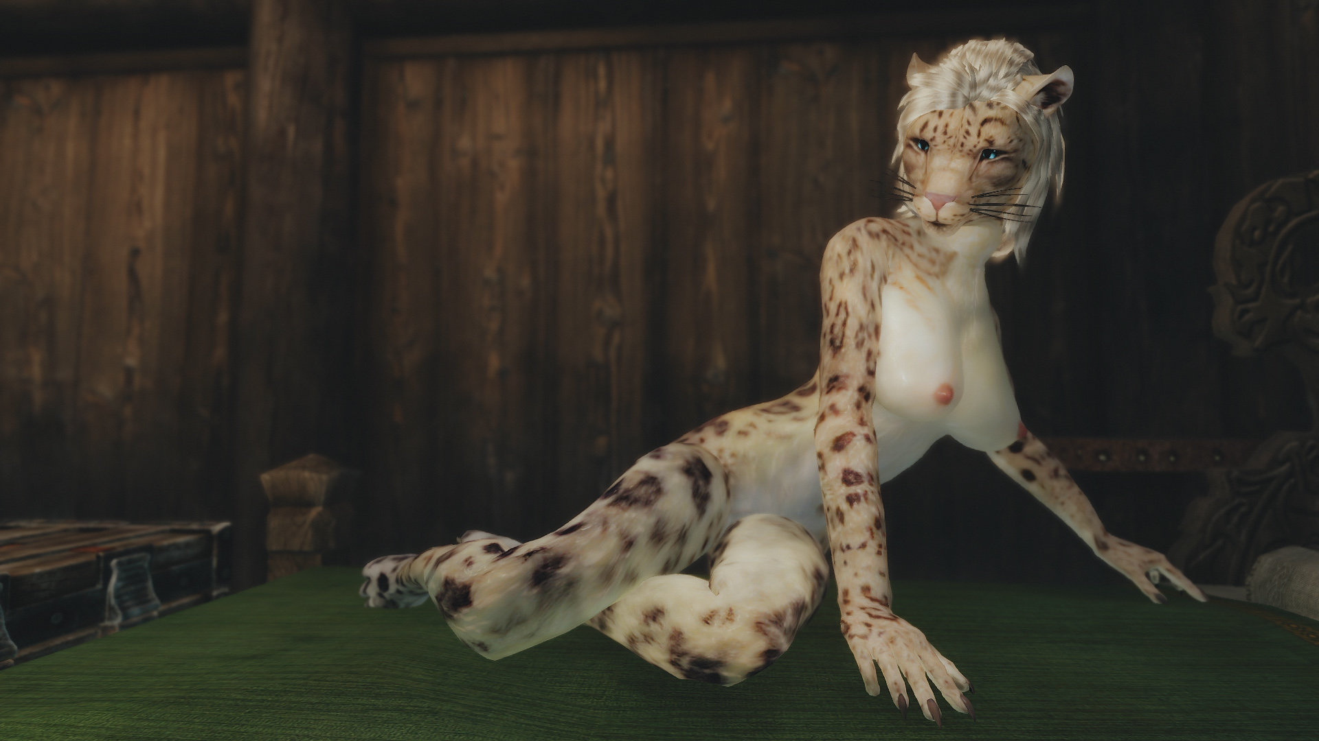 VigiSnepShy.jpg.5d1814f61a4fb06ffb7a90435becd4d2.jpg