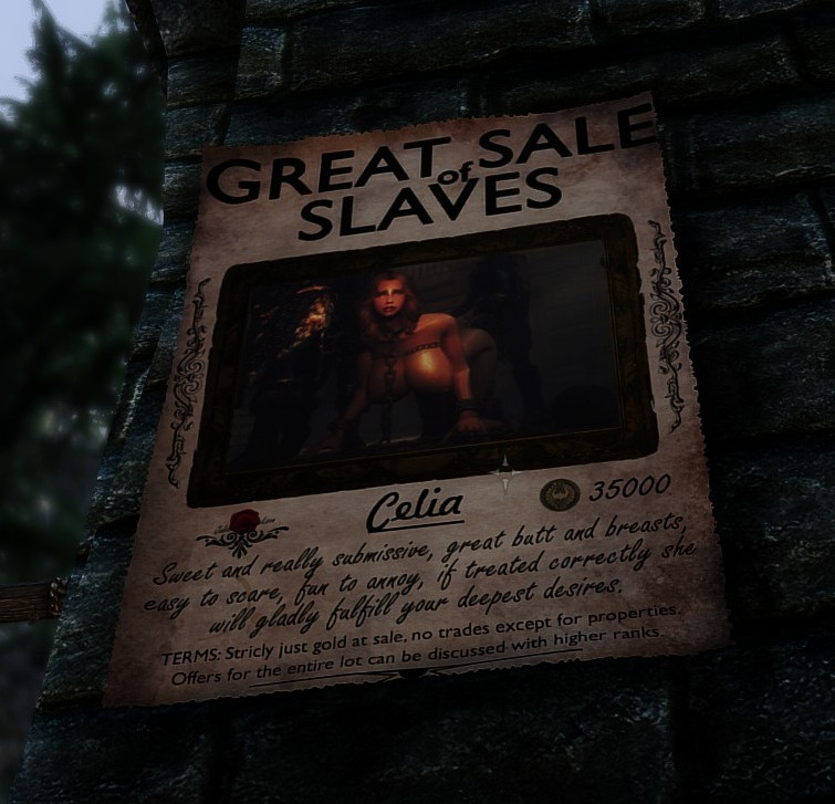 image.png.246a143b26d1eb76874b978e1a6df996.png