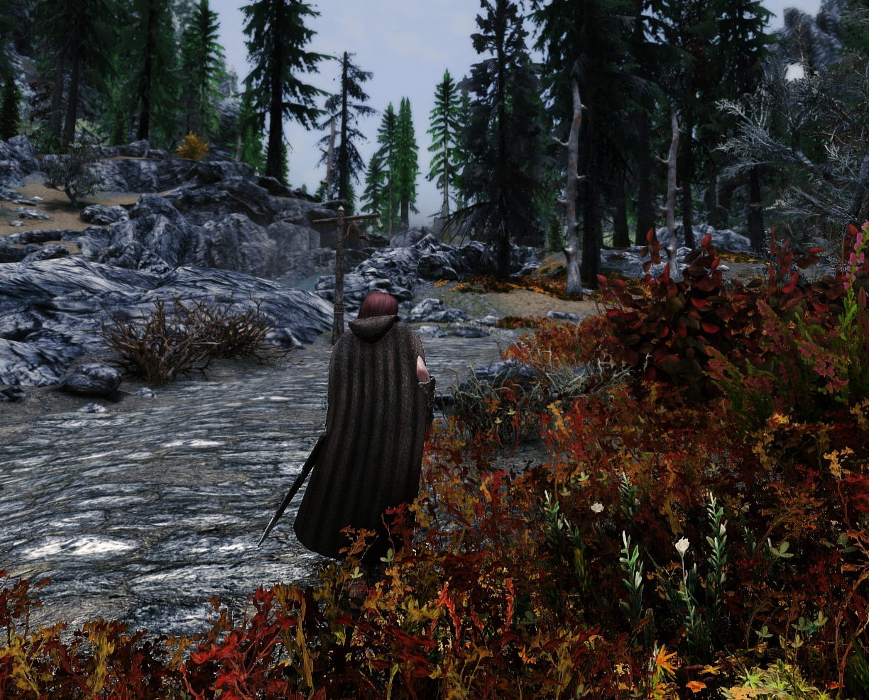 image.png.37f5dfeeb1b057ce65f0a2fe6a2fa097.png