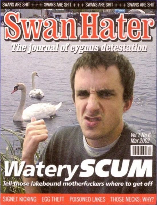 swanhater.jpg