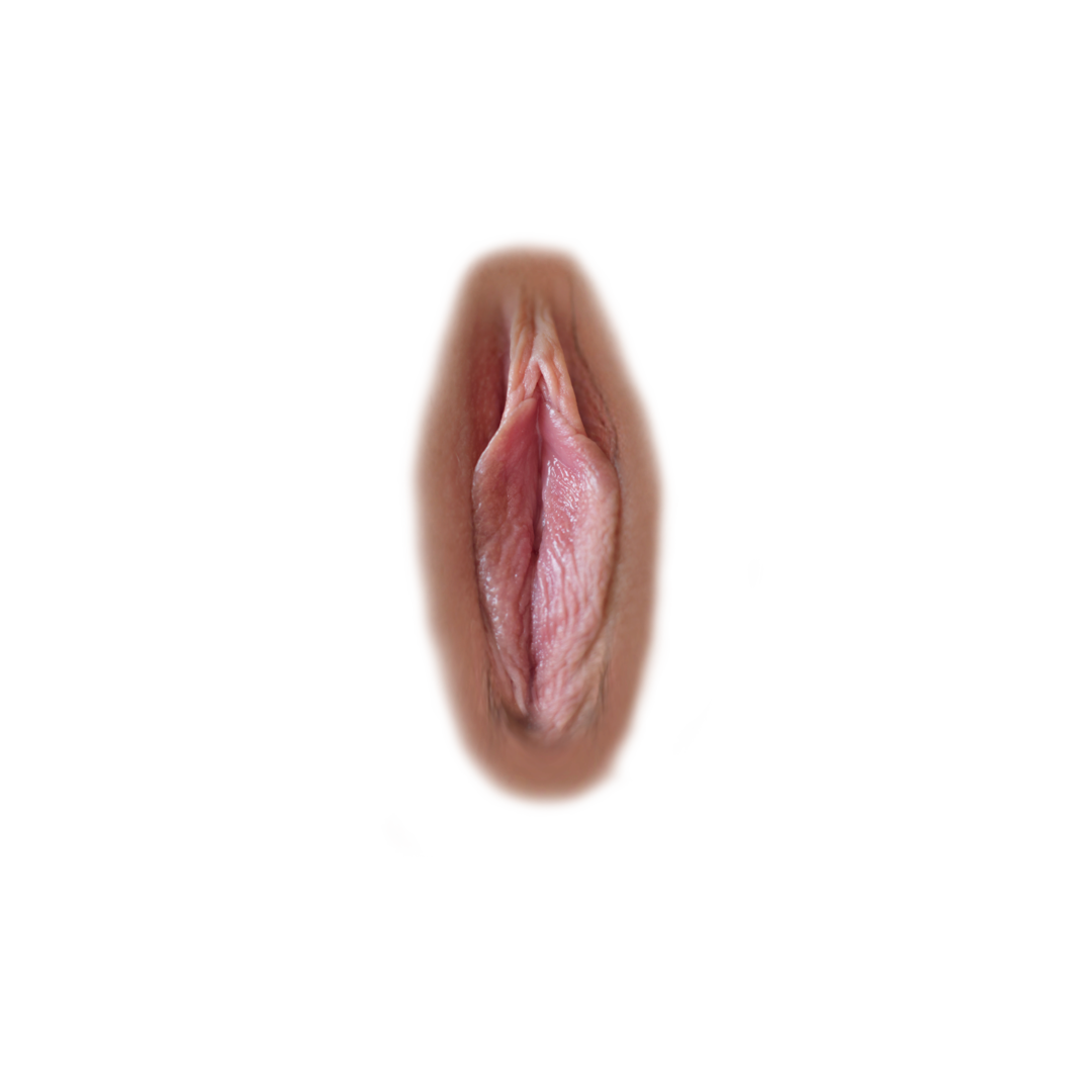 vagina_2-sharedassets1.assets-641.png