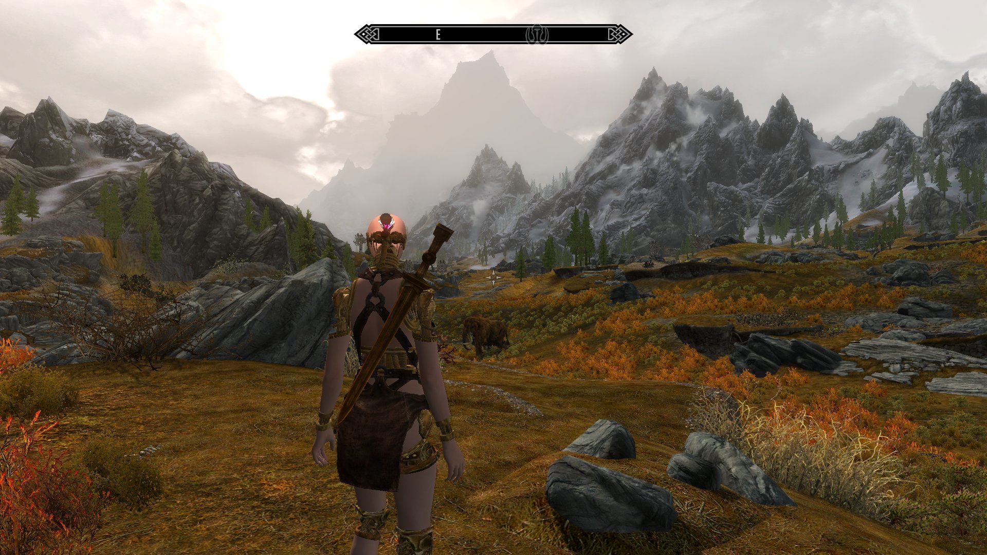 1713188615_ScreenShot08-14-19at09_22AM.jpg.63b00f03ff9047399dbe1e3edff9164f.jpg