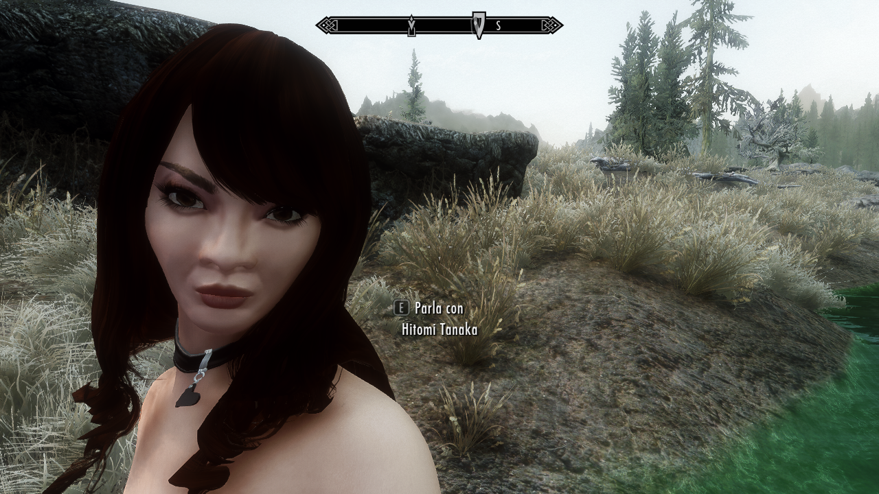 174009192_Skyrim11_09_201919_46_52.png.ae88f6e490f22724be7b61ef2b6b288b.png