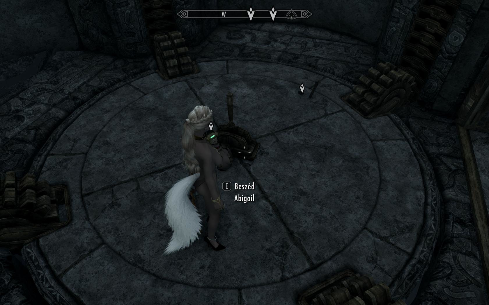 1761062402_SkyrimSE2019-08-3101-35-50-84.jpg.33124ac326b123198aff40733b970b39.jpg