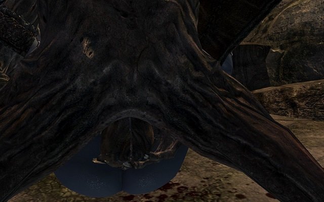 287394961_DraugrTear.jpg.43774333260a6a60a4067fd796247a7c.jpg
