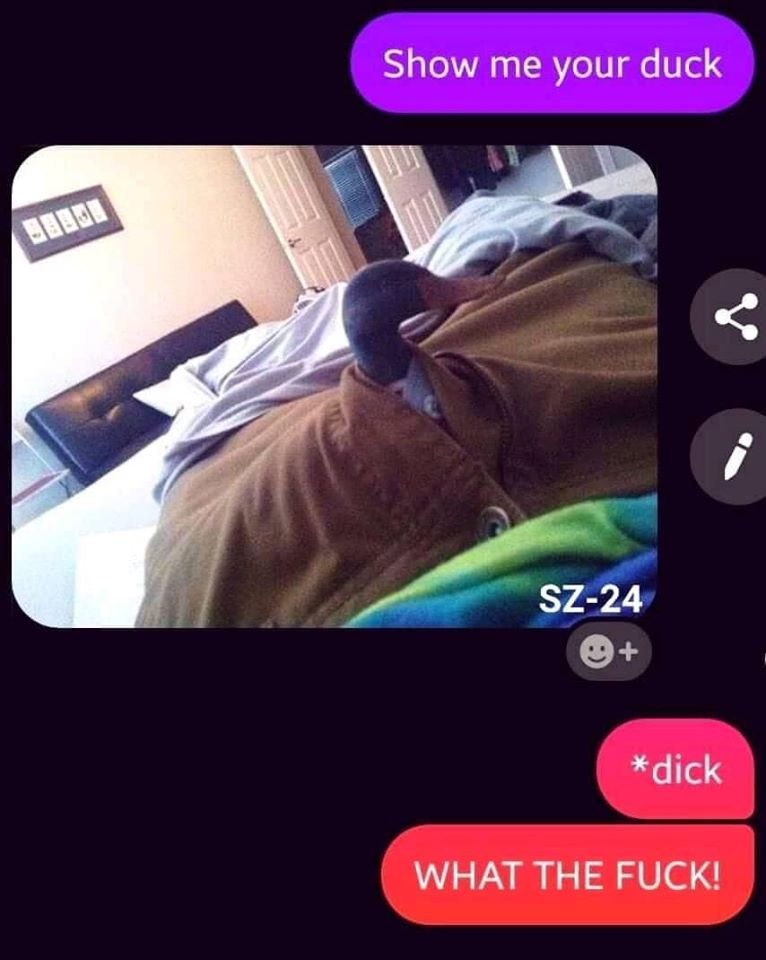 72293627_706034153141232_4438079166830608384_n.png