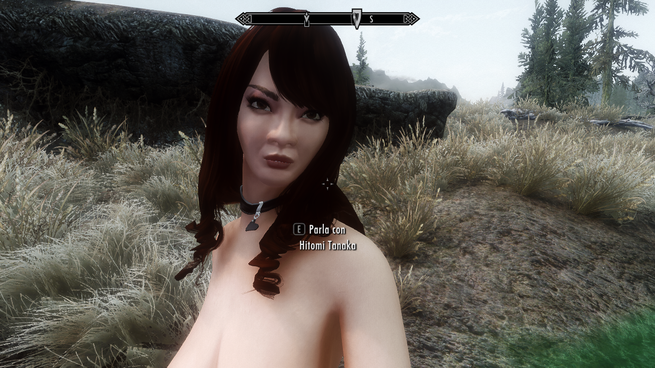 924324955_Skyrim11_09_201920_09_49.png.19b022b514185a10ebcde2a9aabc4659.png